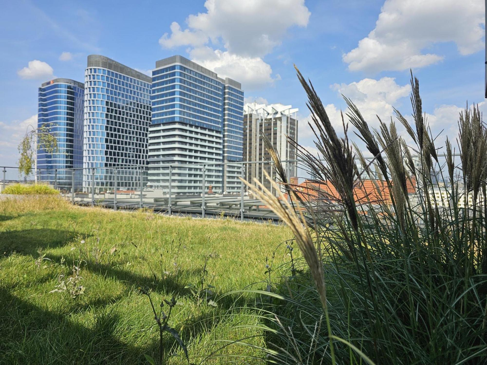 Urban Apartments Premium, Opolska 10 No 21, Free Garage, Self Check-In Katowice Eksteriør bilde